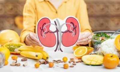 Nutrição no Tratamento Conservador na Doença Renal