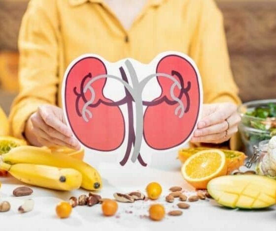 Nutrição no Tratamento Conservador na Doença Renal