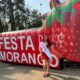 COM PISTACHE a Festa do Morango chega ao Shopping Jardim Oriente