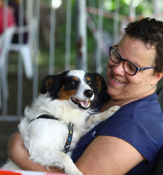 Prefeitura abre inscrições para castração e microchipagem de pets