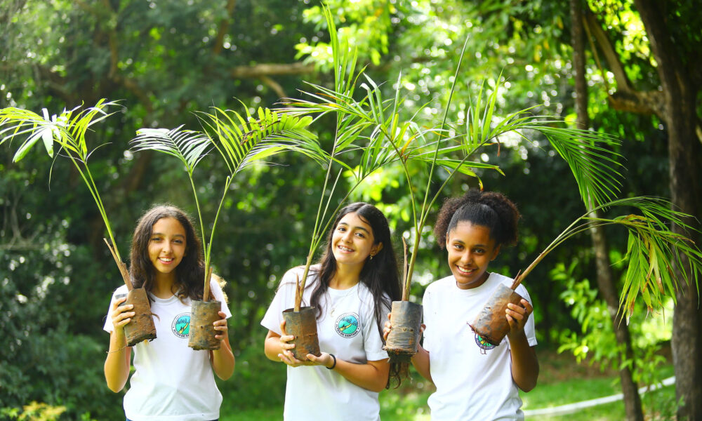 São José conquista selo por arborização pelo 6º ano consecutivo