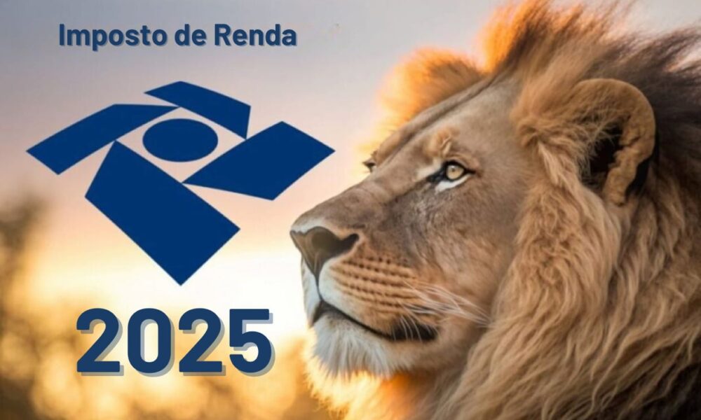 Como fazer uma boa declaração de imposto de renda?