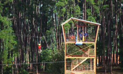 Viva Melhor transforma manhã de sábado com saúde e lazer no Parque Alberto Simões
