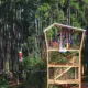 Viva Melhor transforma manhã de sábado com saúde e lazer no Parque Alberto Simões