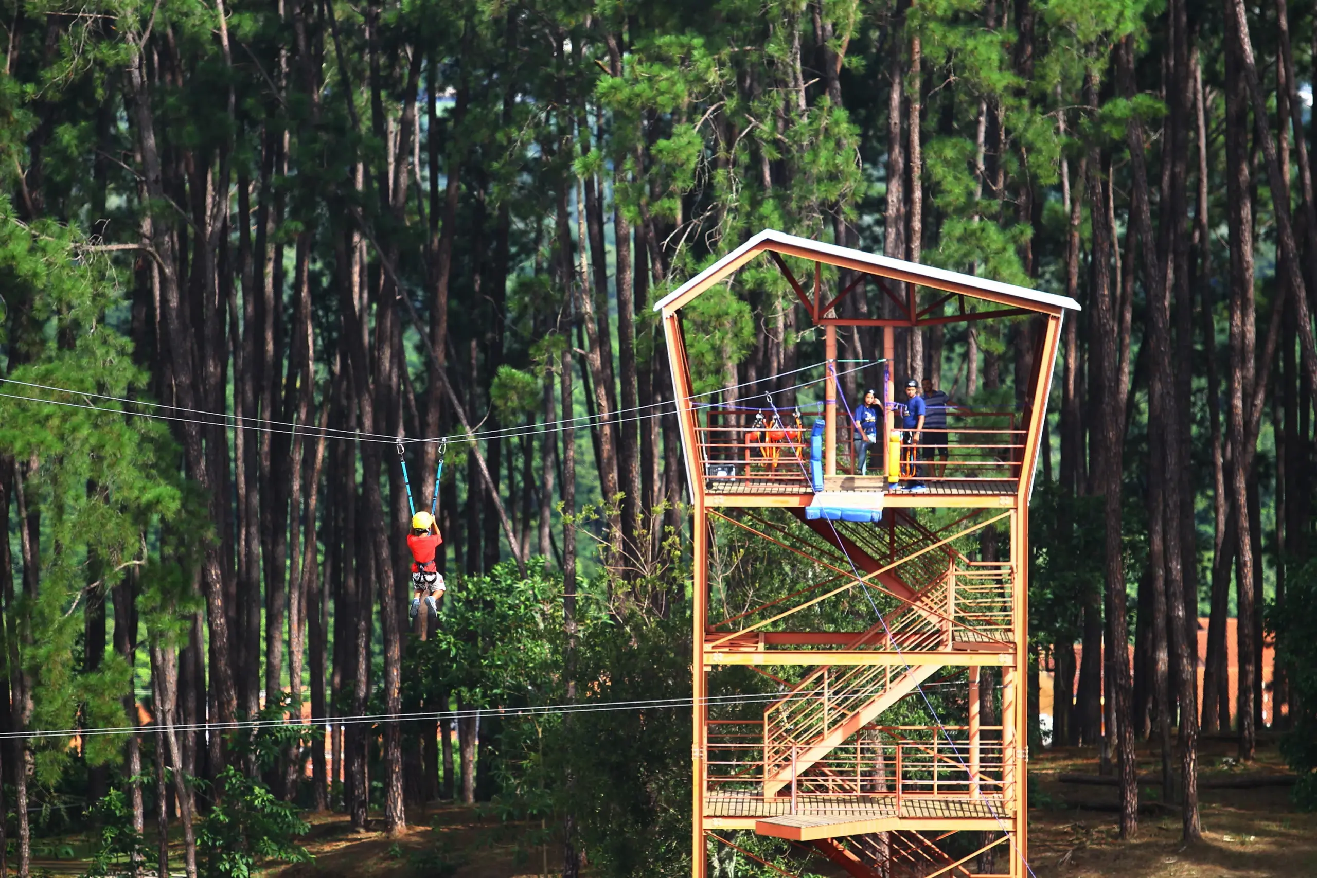 Viva Melhor transforma manhã de sábado com saúde e lazer no Parque Alberto Simões