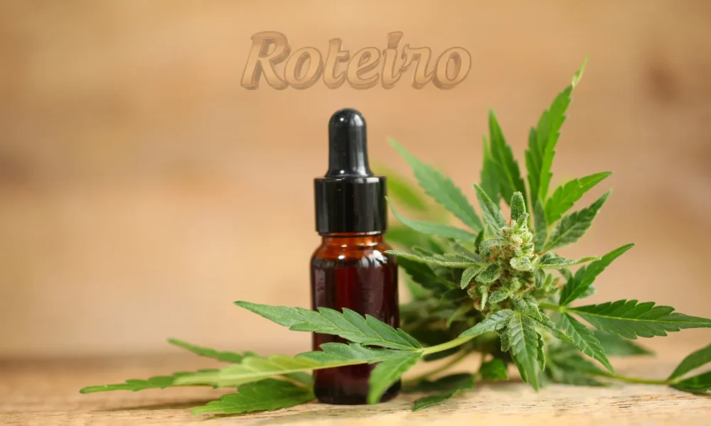 canabis medicinal, folha da planta e o oleo essencial em um frasco