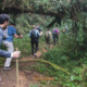 Trilha guiada em São Francisco Xavier com visitantes caminhando entre árvores nativas da Serra da Mantiqueira