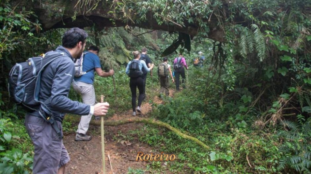 Trilha guiada em São Francisco Xavier com visitantes caminhando entre árvores nativas da Serra da Mantiqueira