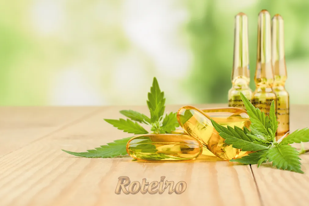 Canabis e canabidiol frascos e planta