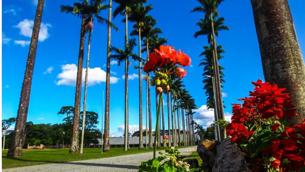 Parque da Cidade de São José dos campos florido