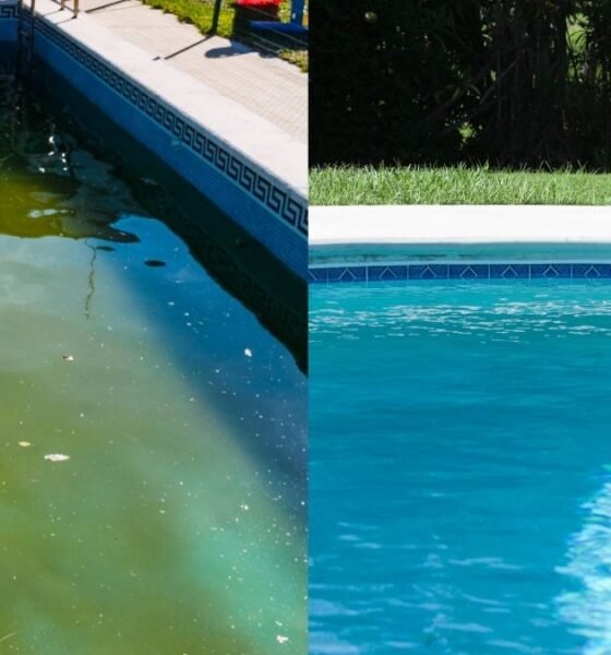 Comparação entre uma piscina com água verde, sem tratamento, e uma piscina limpa e cristalina após o tratamento especializado da Hidrogás Piscinas, em São José dos Campos.