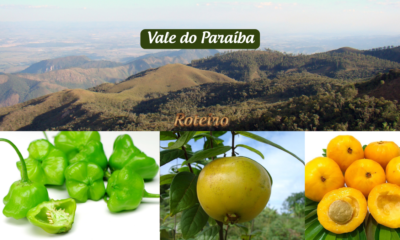 Frutas nativas do Vale do Paraíba: cambuci, uvaia e araçá sobre fundo com céu azul e montanhas da região