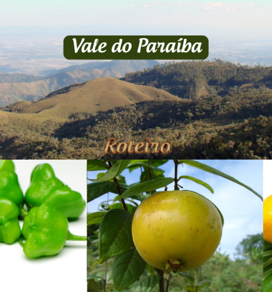 Frutas nativas do Vale do Paraíba: cambuci, uvaia e araçá sobre fundo com céu azul e montanhas da região