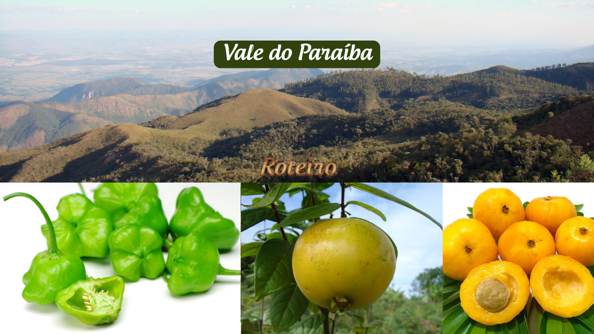 Frutas nativas do Vale do Paraíba: cambuci, uvaia e araçá sobre fundo com céu azul e montanhas da região