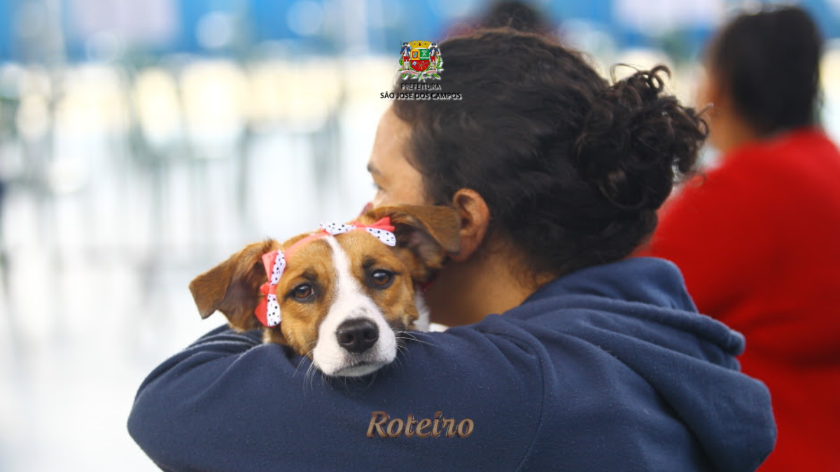 Tutora de costas abraça cachorro pequeno de pelagem caramelo e branca com laço vermelho na cabeça durante evento de castração gratuita do programa Meu Pet Feliz em São José dos Campos. Foto: Divulgação/PMSJC
