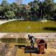 Funcionário da Prefeitura de São José dos Campos com uniforme e luvas amarelas realiza limpeza do lago principal do Parque Santos Dumont, com o espelho d'água esverdeado ao fundo e lixeira marrom ao lado, durante manutenção periódica. Foto: Claudio Vieira/PMSJC
