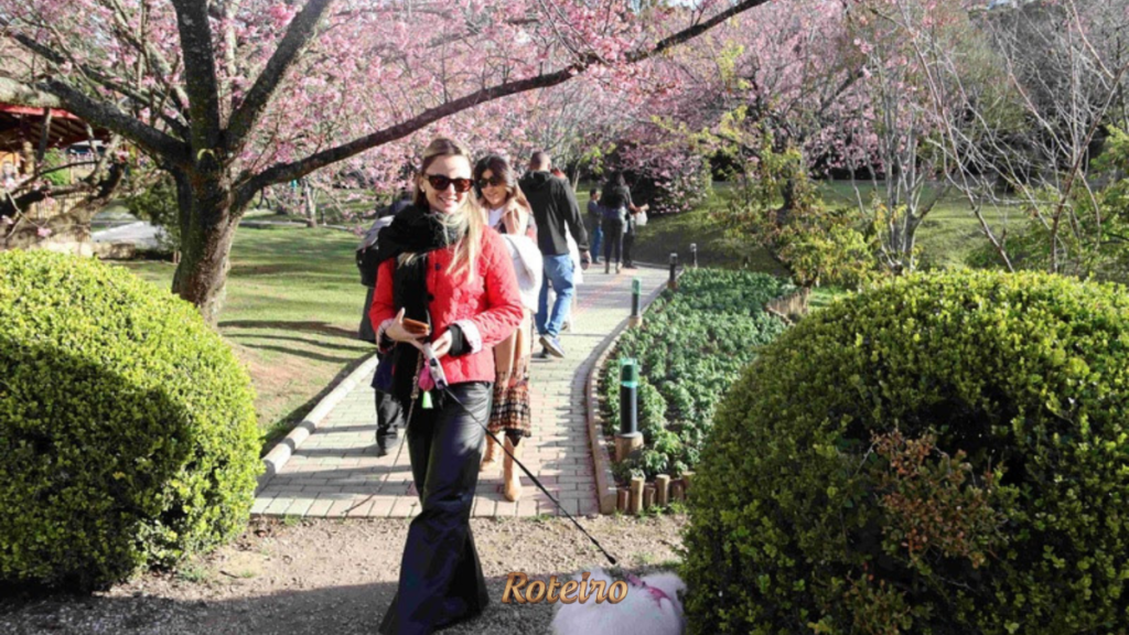 passeio pet friendly na festa cerejeira campos jordao sob as sakuras