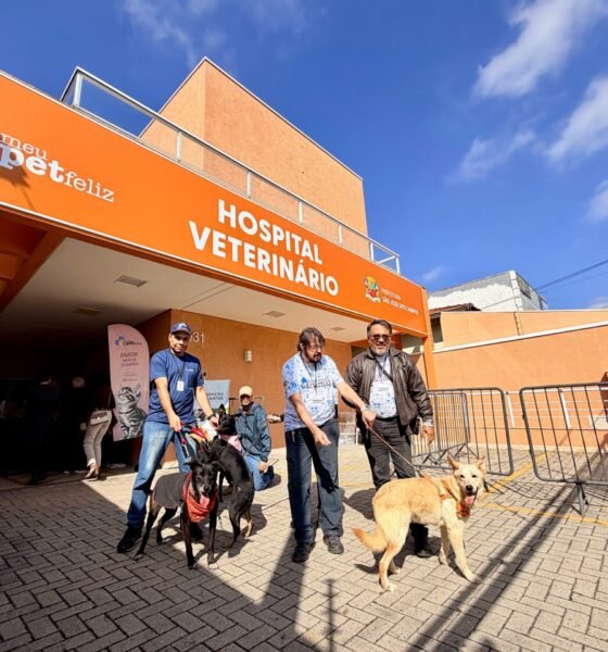 hospital veterinario municipal SJC — anuncio da prefeitura de Sao Jose dos Campos