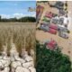 proteção climática casa SJC — seca e alagamento ilustram riscos climáticos em São José dos Campos