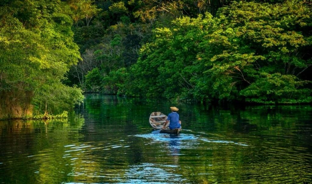 Canoa em rio da Amazônia, cenário do filme Amazônia Viva em realidade virtual