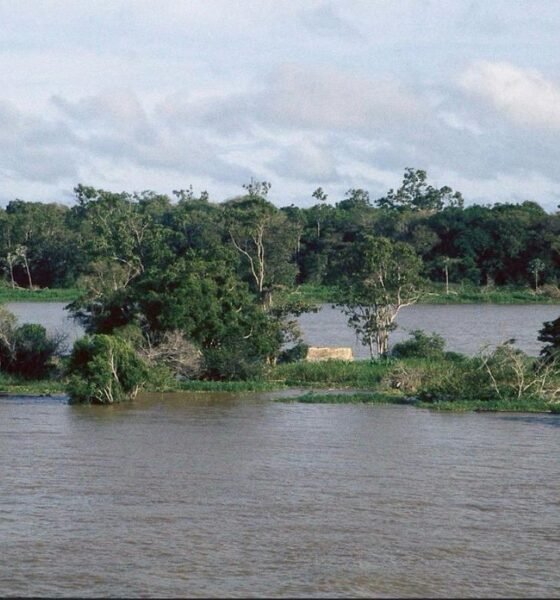 Rio Tapajós na Amazônia, cenário do evento Amazônia Viva Realidade Virtual em SJC