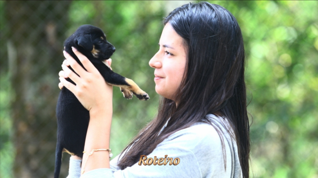 Cães e gatos disponíveis para adoção do CCZ em São José dos Campos
