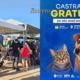 castração gratuita Jardim Oriente — fila de atendimento e cartaz oficial do mutirão