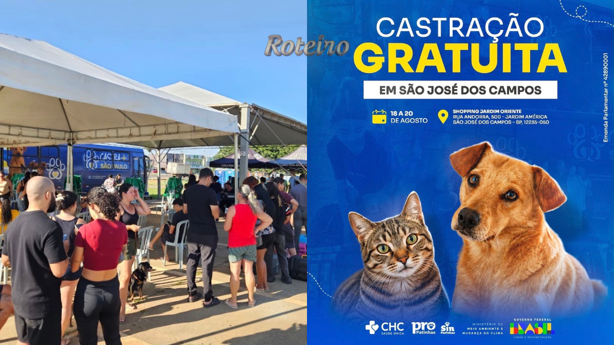 castração gratuita Jardim Oriente — fila de atendimento e cartaz oficial do mutirão