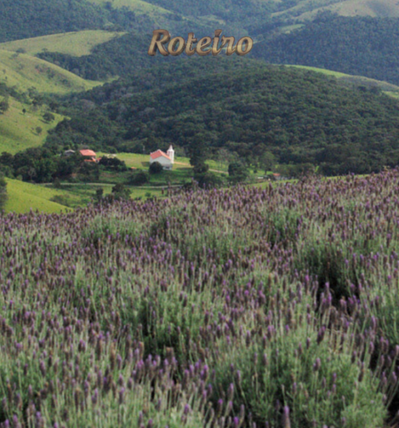 6 Festival do Queijo de Cunha: paisagem rural com lavanda e serra no caminho até Cunha
