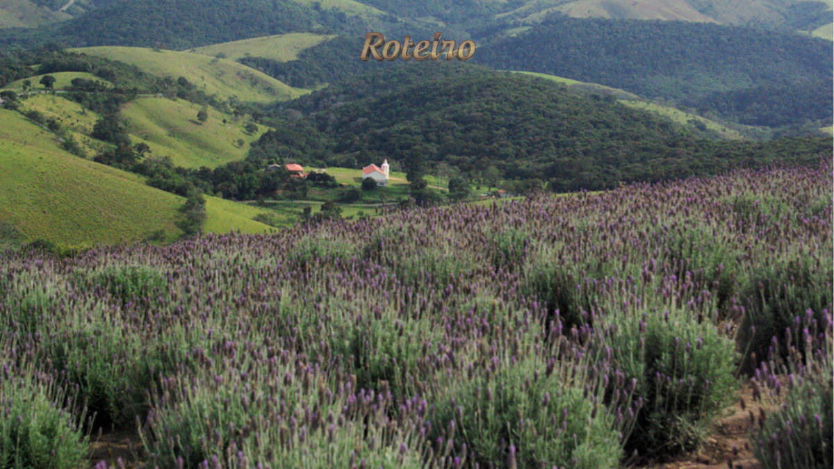 6 Festival do Queijo de Cunha: paisagem rural com lavanda e serra no caminho até Cunha