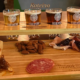 Tour Heineken em Jacareí — tábua de degustação com harmonização do Inside the Star