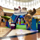 DreamWorks Experience Vale Sul com atrações de Shrek, Kung Fu Panda e Trolls em SJC