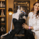 Grand Debut Fashion Show — Coleção 2027 da Templo Fashion