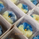 Food Vale em SJC 2026: doces artesanais em formato de flor azul e branca em caixinhas individuais