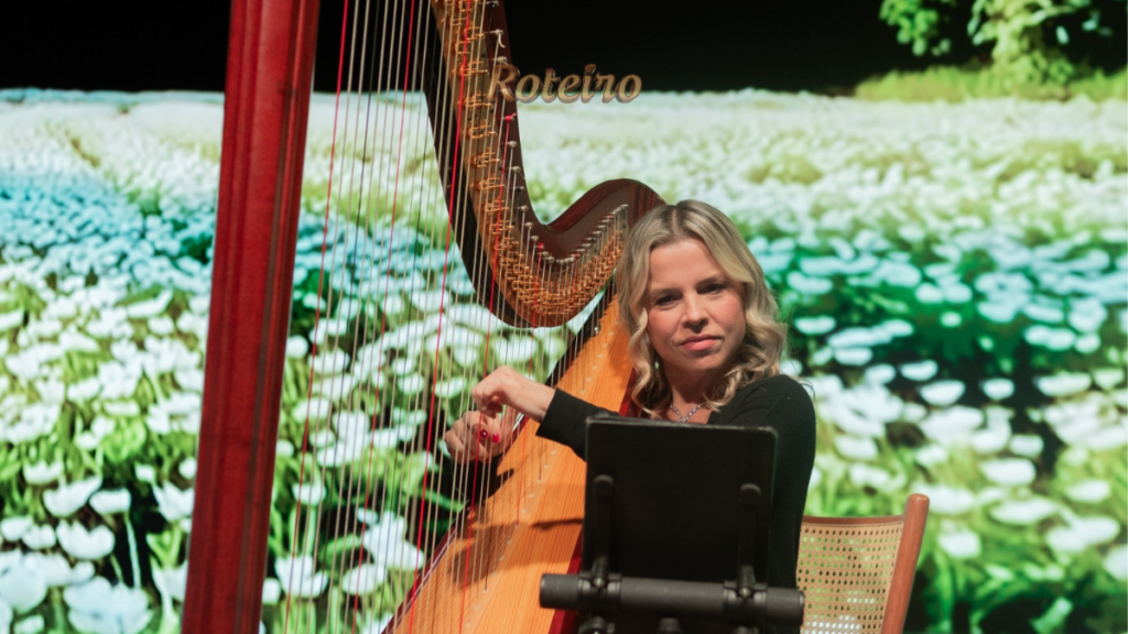 Senses MVituzzo em SJC apresentação de harpa ao vivo no Meeting SENSES